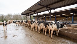 Sgôr uchel am wella symudedd